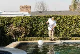 Adam's Pool and Spa Service