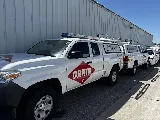 Orkin photo 2