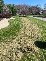 JP's Landscaping photo 6