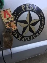 PEST RANGERS