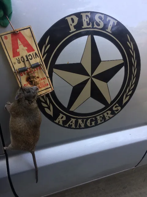 PEST RANGERS photo 1