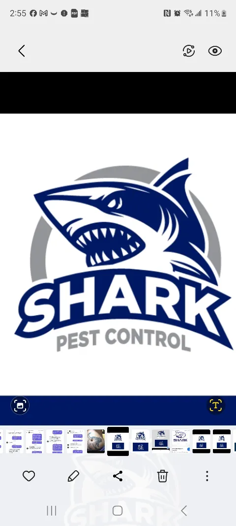 Shark Pest Control photo 1