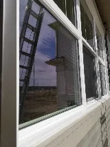 Neon Window Cleaning