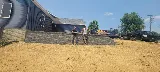 American Landscaping and Maintenance LLC photo 5