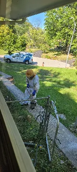 Rottler Pest Solutions photo 8