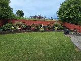Go-Forth Pest Control photo 5