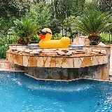 Into the Blue Pool and Spa photo 7