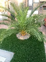 All American Landscape, LLC photo 5