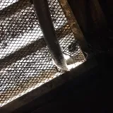 Alley Cat - Rodent Exclusion Company photo 4