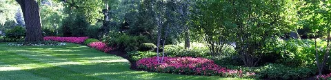 Dario Garcia Landscaping LLC photo 1