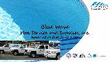 Blue Wave Pool Service and Supplies Inc. photo 8