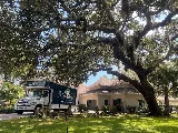 New Roots Moving Company photo 7