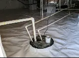 Pest-X Exterminating photo 8
