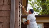 HD Painting and Stain