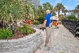 Beach Pest Service photo 4