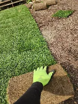 Fahed Landscaping Services Ltd photo 5