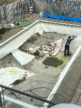 Durham Pool & Spa Services photo 5