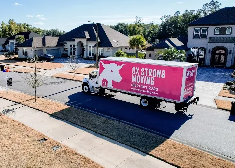Ox Strong Moving in Gainesville