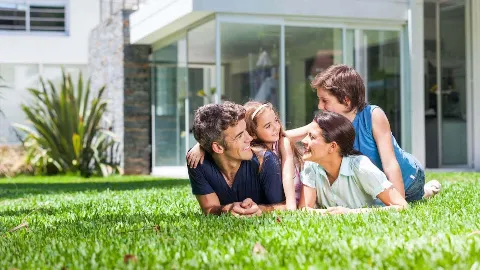 Brady Pest Control in Grand Prairie