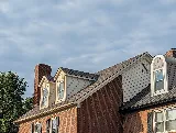 Mighty Dog Roofing of Lexington photo 4