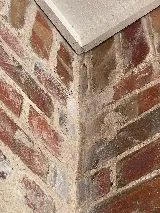 Romex Pest Control photo 6