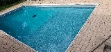 People for Pools photo 5