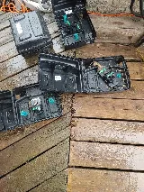 Maximum Pest Control Services photo 5