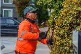 Green Vine Landscaping, Inc. photo 8