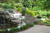 Allison Landscaping and Water Gardens photo 4