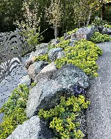 Pacific Ridge Landscapes Ltd photo 3