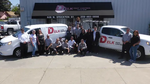 Delk Pest Control in Stockton