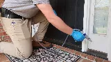 The Best Pest Control Solutions photo 5