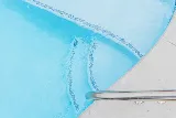Sierra Pools of Tulsa Pools photo 4