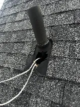 Wise Pest Solutions