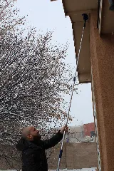 Organic Pest Control NM photo 3