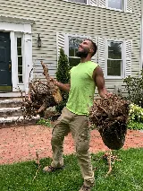 Black Belt Landscaping photo 8