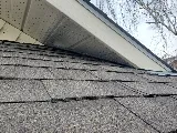 Lethbridge Pest Control photo 6