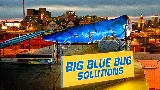 Big Blue Bug Solutions photo 3