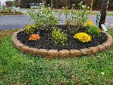 Active green Llc Lawn care & landscaping photo 6