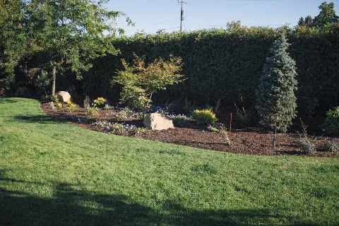 Greenscape Landscaping photo 1