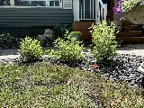 Bulger Brothers Landscape photo 4