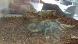 JS Pest Control photo 8