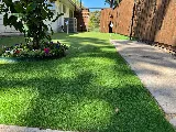Ideal Landscape Services, Inc. photo 6