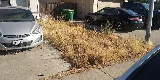 Silver Bear Landscaping photo 6