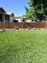 Natural Landscaping photo 5