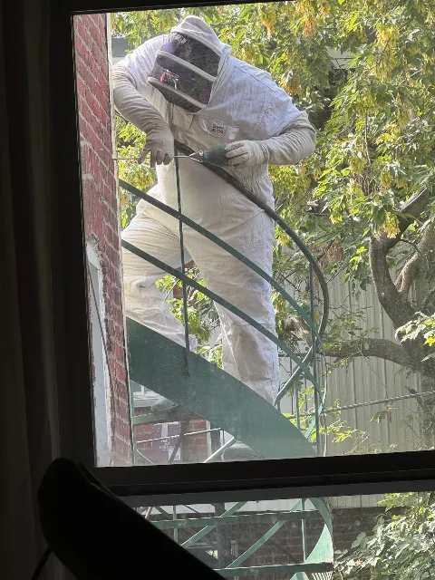 Extermination Solution Extreme photo 1
