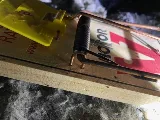 Vanquish Pest Management, Pittsburgh PA photo 6