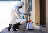 Wow Pest Control photo 4