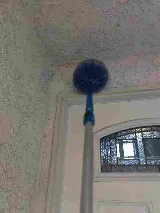 Bulwark Exterminating photo 6