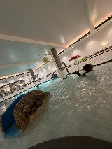 Superb pool service photo 5